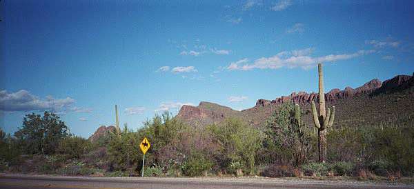 AZ_xing_sign.jpg (22752 bytes)